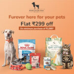 Dogs Supplies and Accessories Offers and deals on Ratingsindia