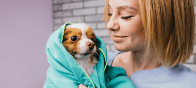 10 Essential Tips for Responsible Pet Care